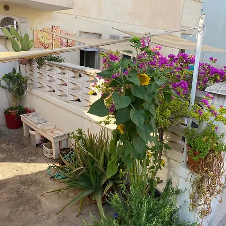 Ficalindiahouse Gallipoli